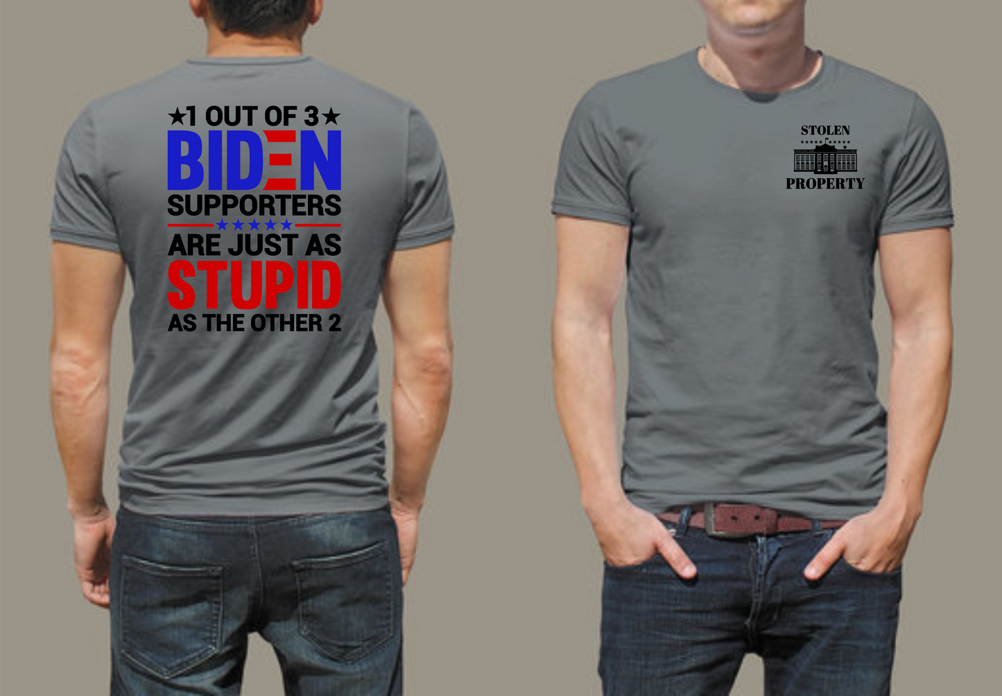 BIDEN SUPPORTERS and STOLEN PROPERTY Graphic Tee